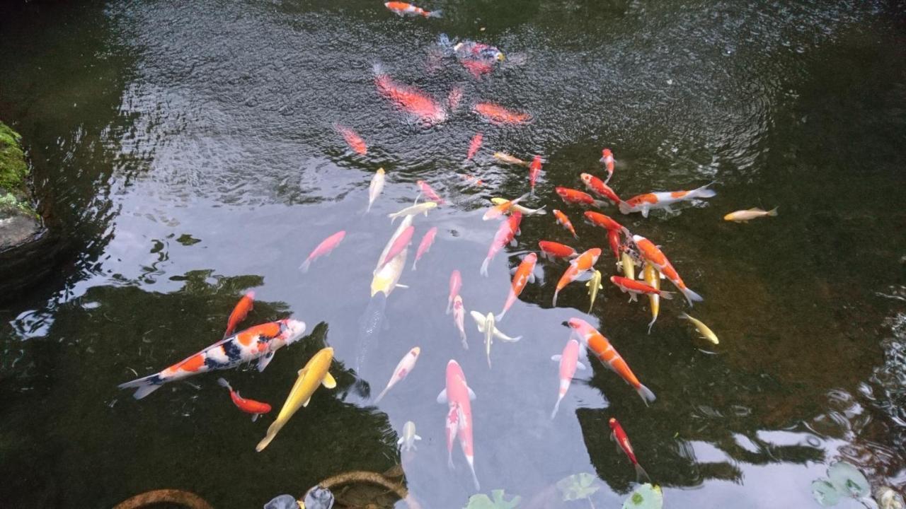 Gyokutei Otel Hakone Dış mekan fotoğraf