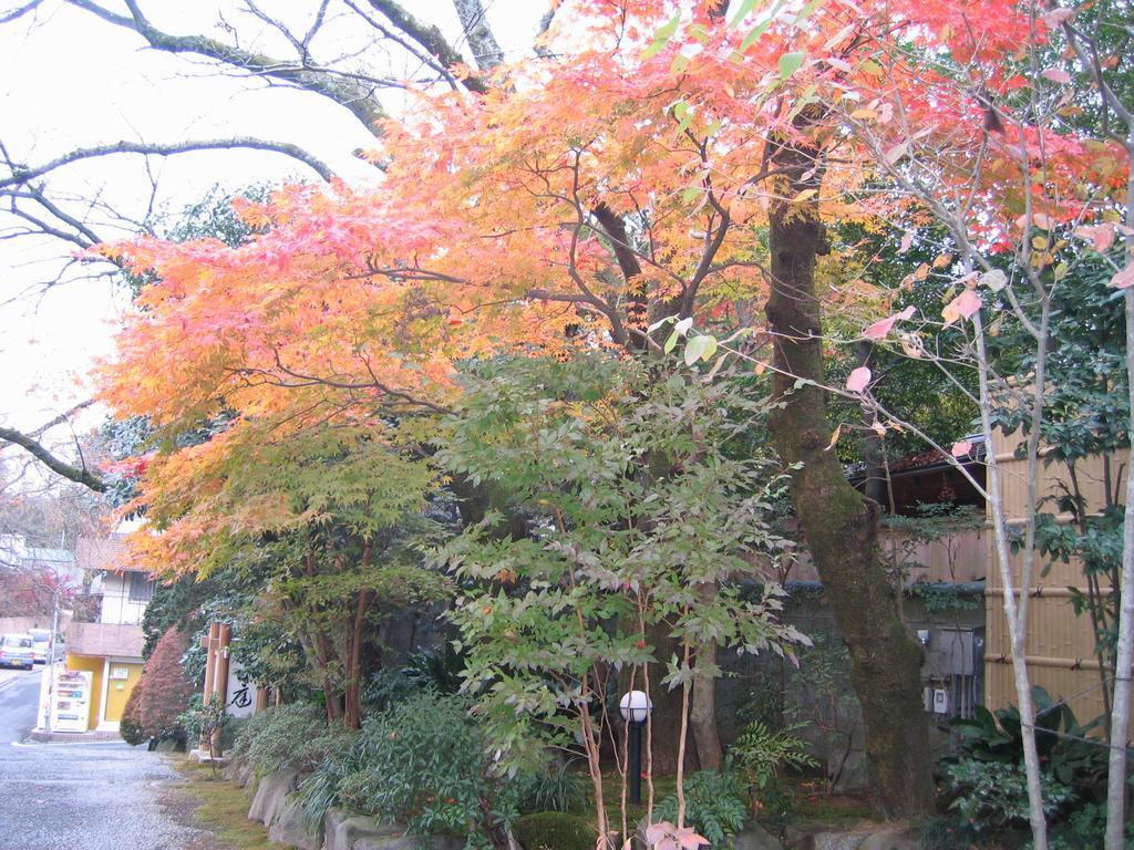 Gyokutei Otel Hakone Dış mekan fotoğraf